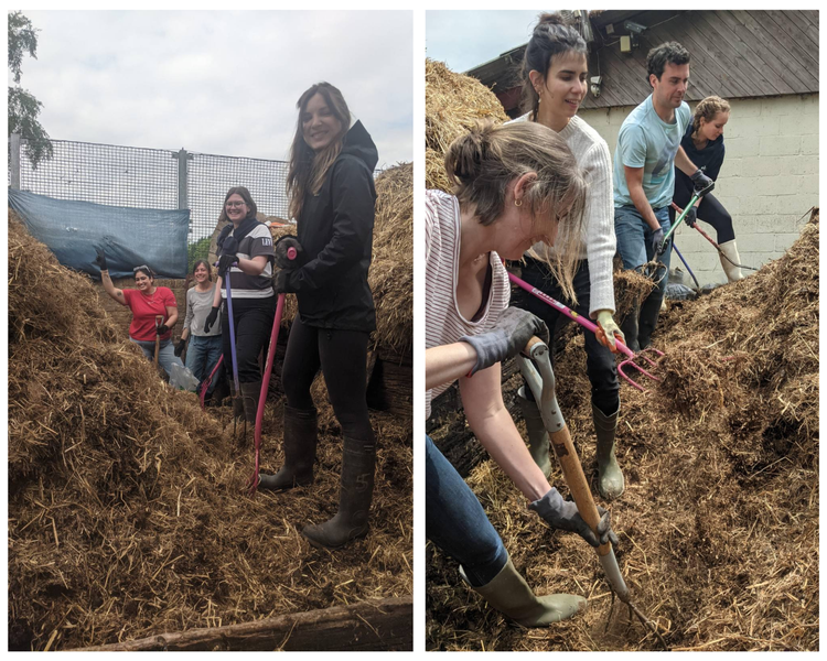 Collage of two pictures of OG staff shovelling hay at a city farm