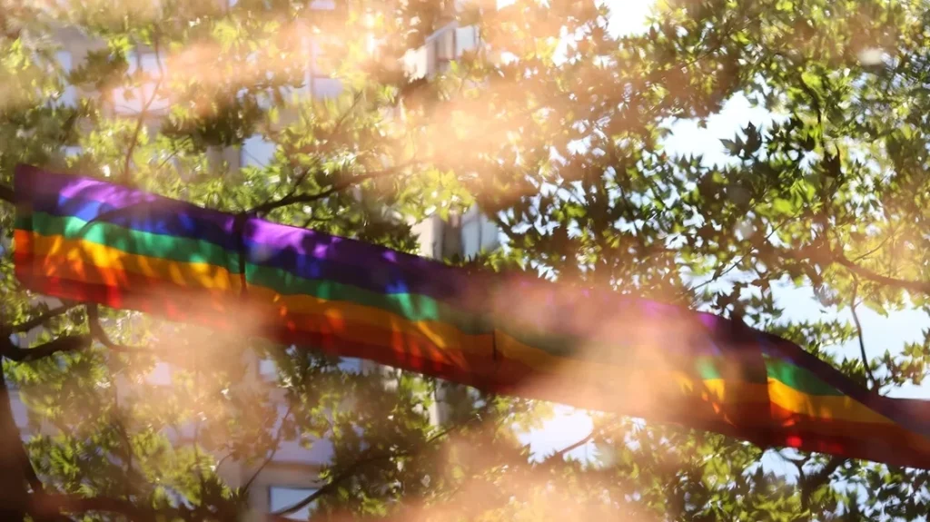 The Gay After Tomorrow: LGBTQIA+ and the climate crisis