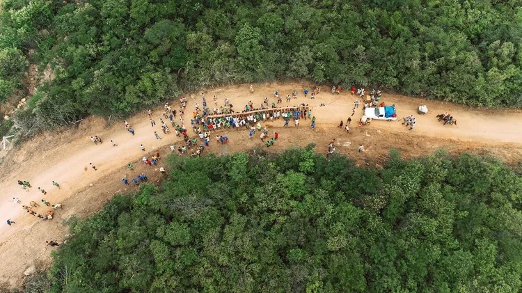 Positive climate stories in May
