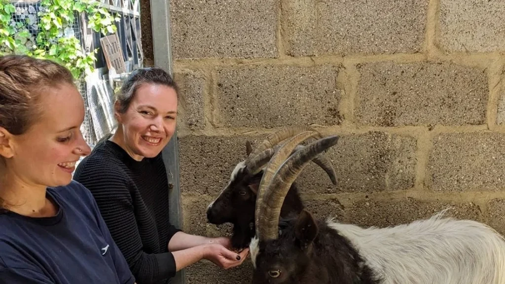 One year at OG with our Project Assistant, Blánaid
