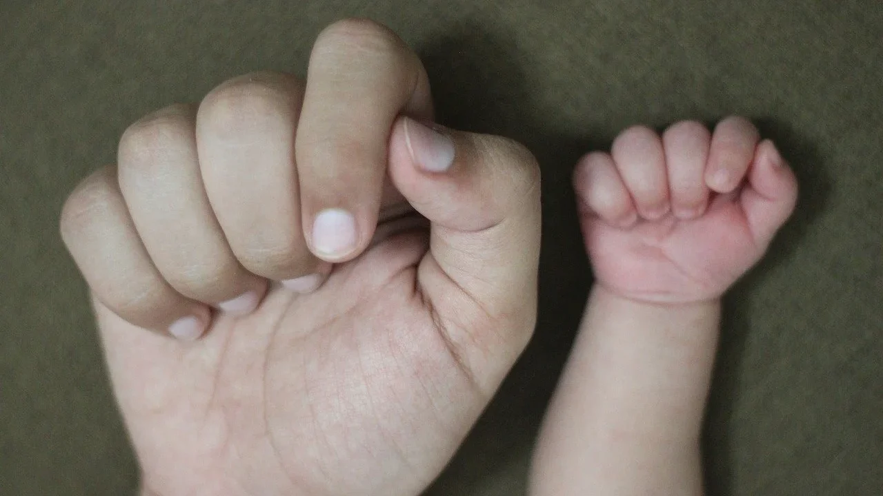 One big hand and one small child's hand