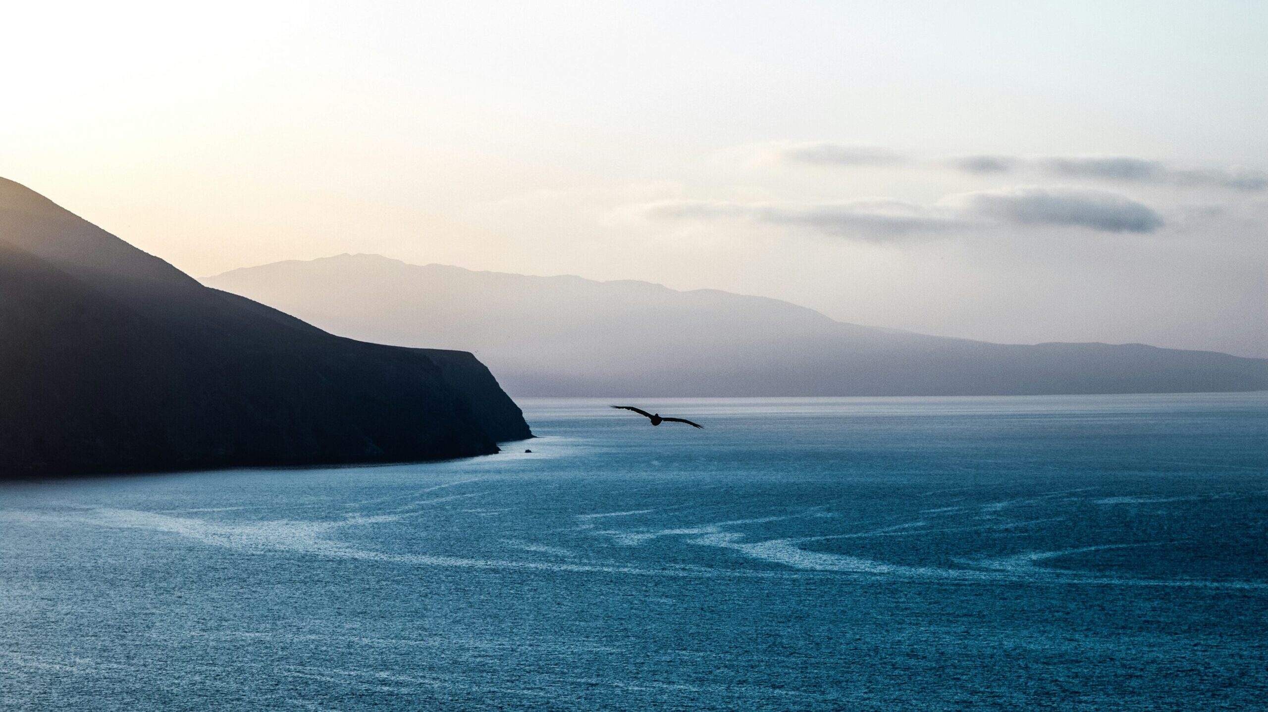 Sea
