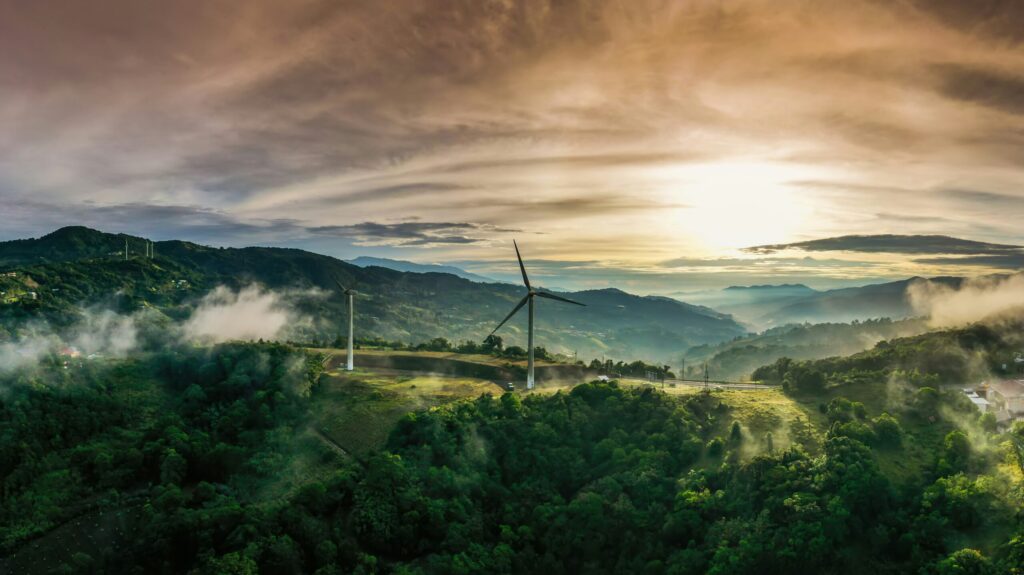 Positive Climate Stories in June 2024