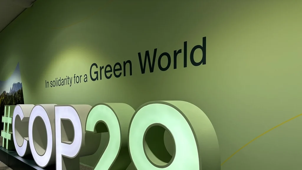 Does COP deliver climate justice? We speak to climate activists at COP29