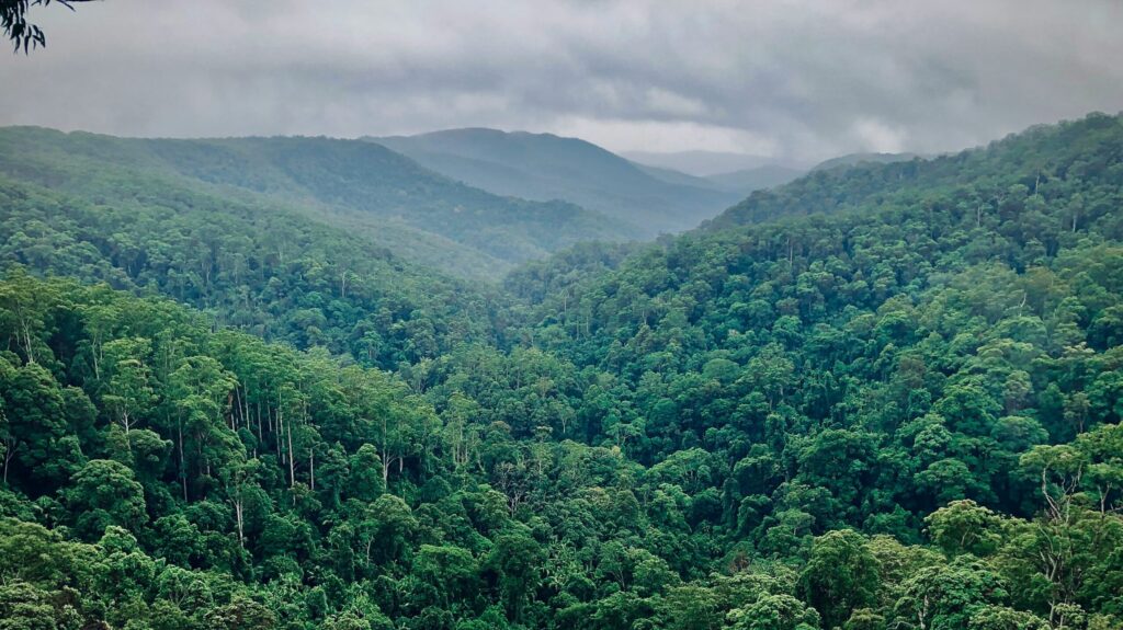 Positive Climate Stories in June 2025