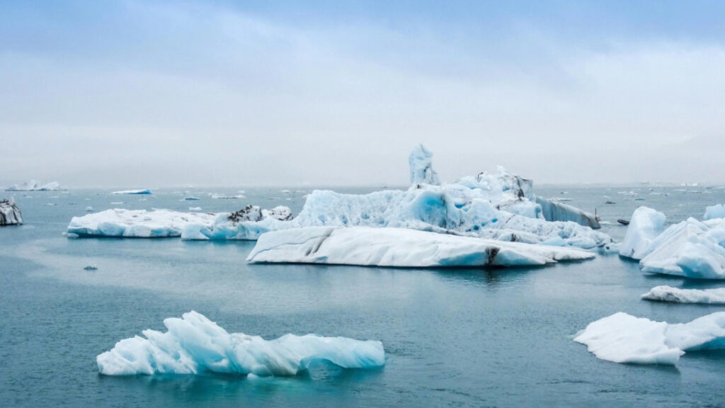 Sea ice in the Arctic Ocean