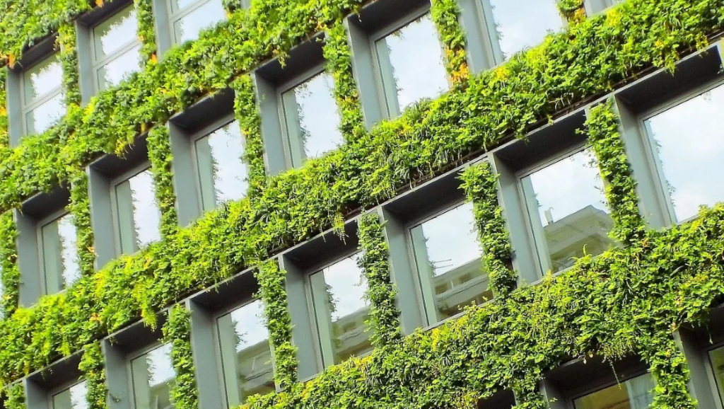 Building facade with an abundance of green shrubs around each window