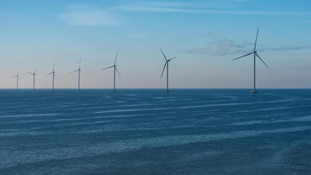 Positive Climate Stories in October