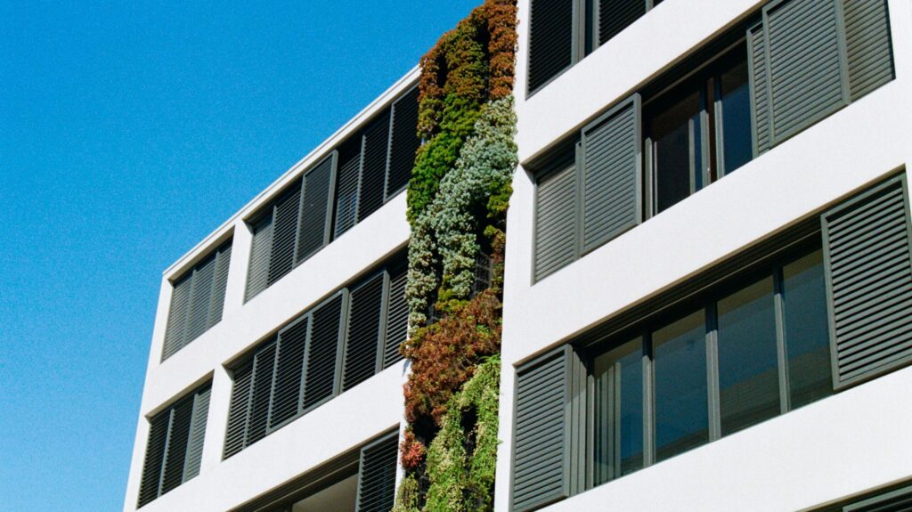 Building towards a just transition