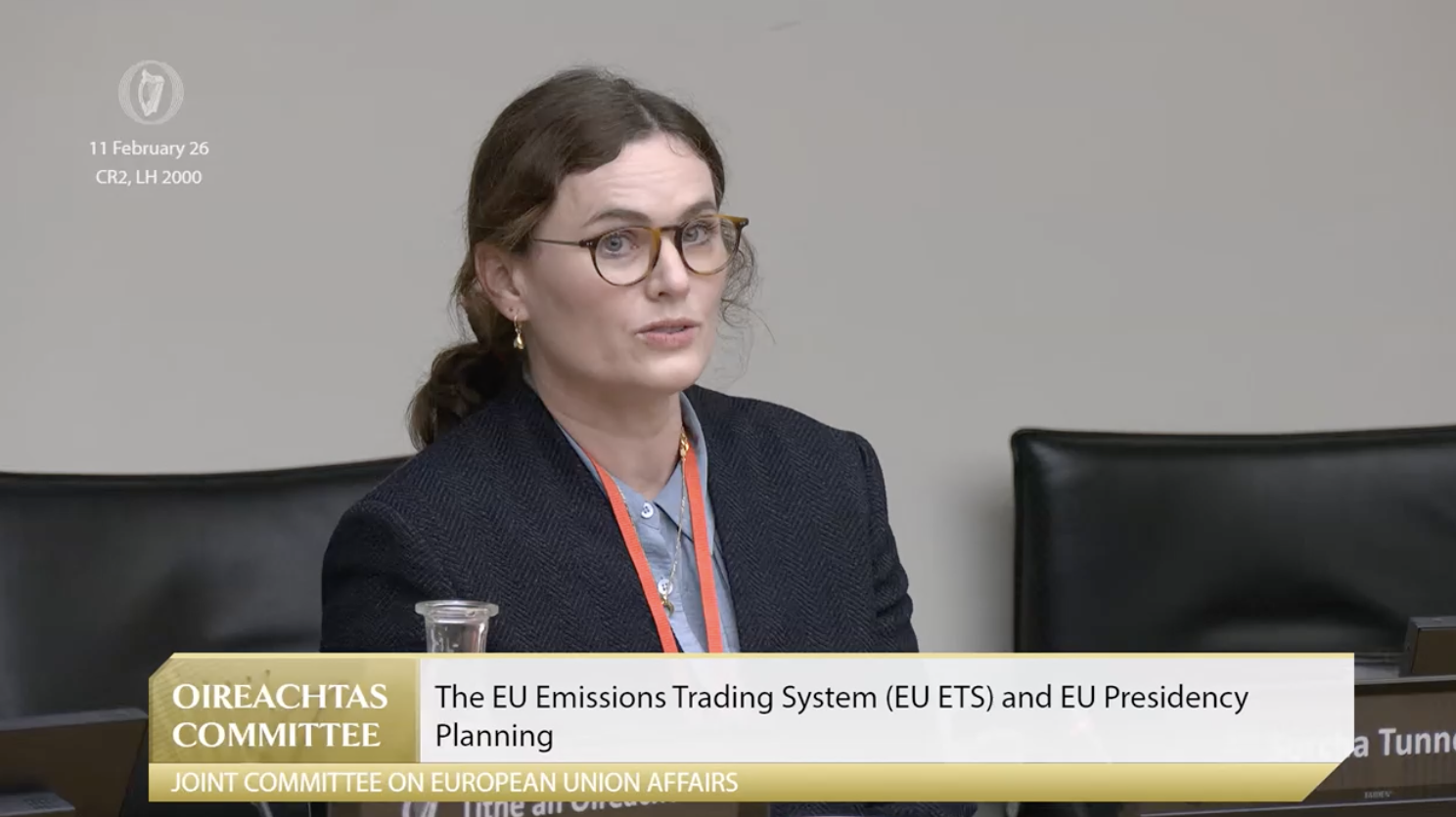 Sorcha is pictured seated and giving evidence in the Irish Parliament.