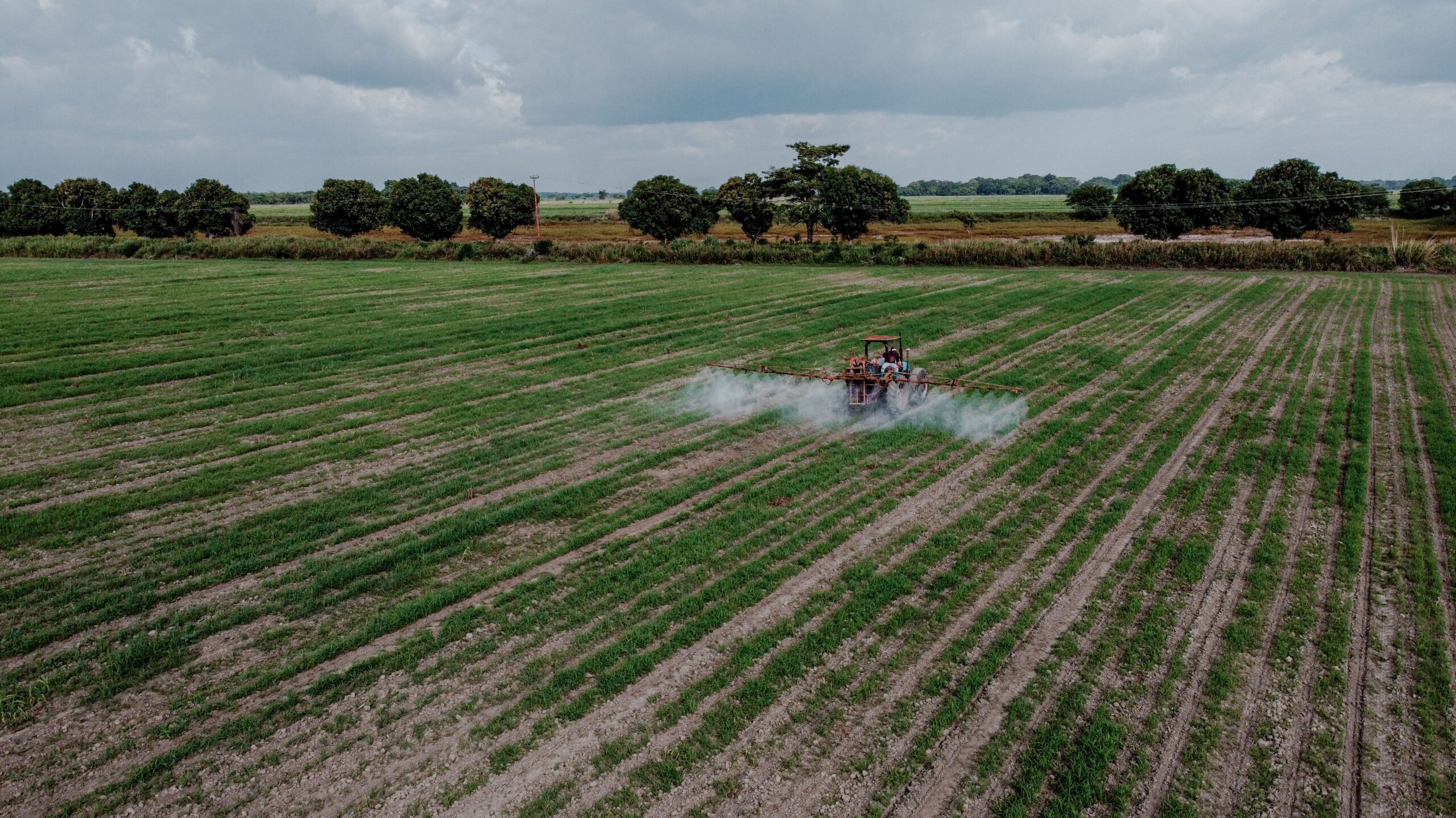 Tractor spraying a large commercial crop on an overcast day