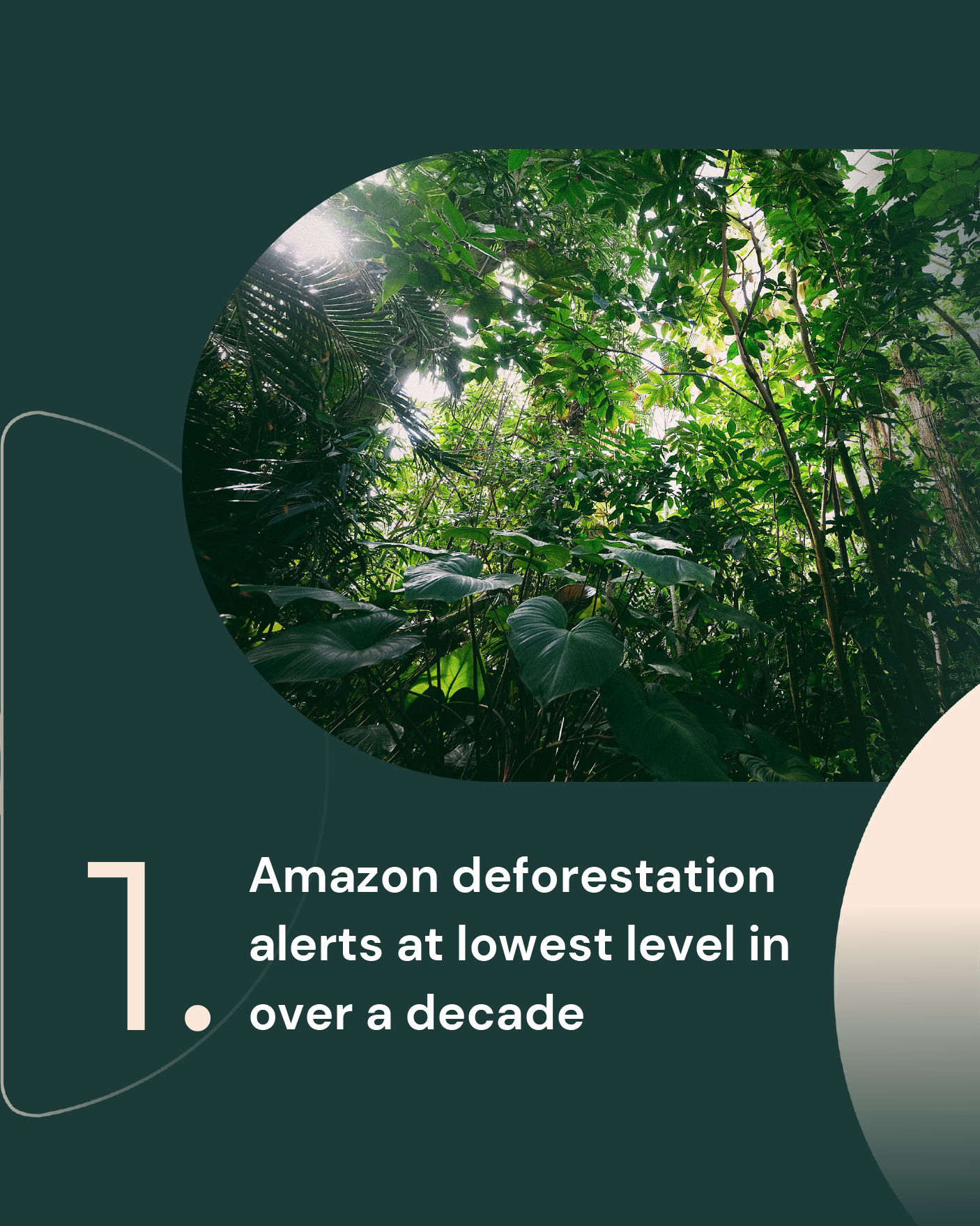 1. Amazon deforestation alerts at lowest level in over a decade
